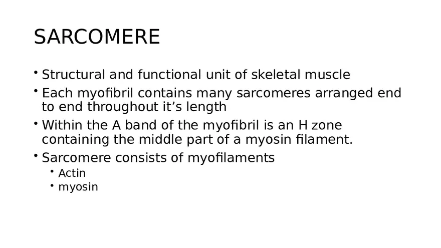 Muscle Structure - Page 22