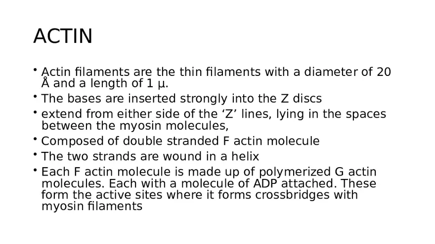 Muscle Structure - Page 23