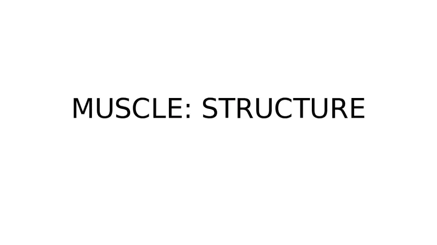 Muscle Structure - Page 1