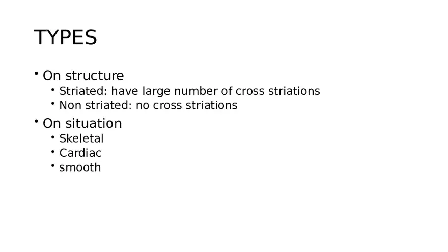 Muscle Structure - Page 2