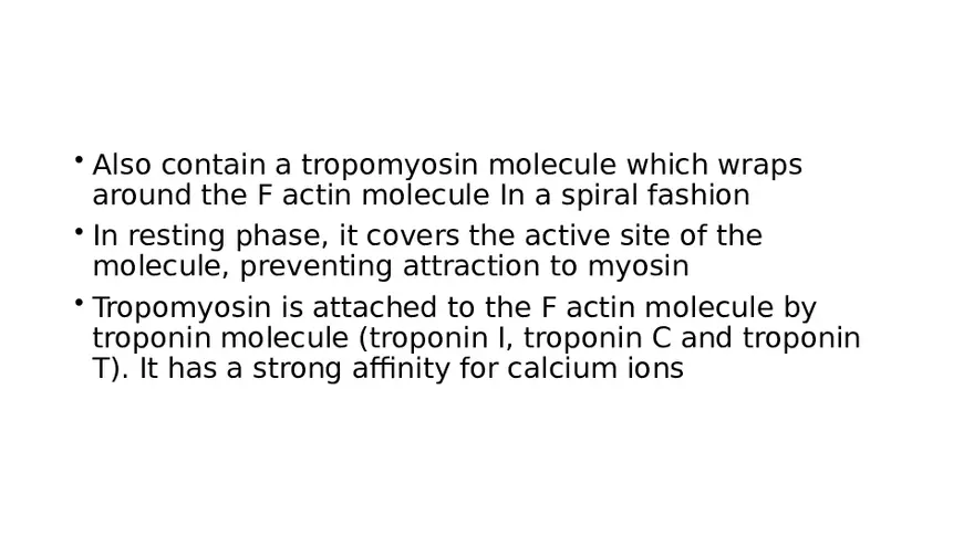 Muscle Structure - Page 4