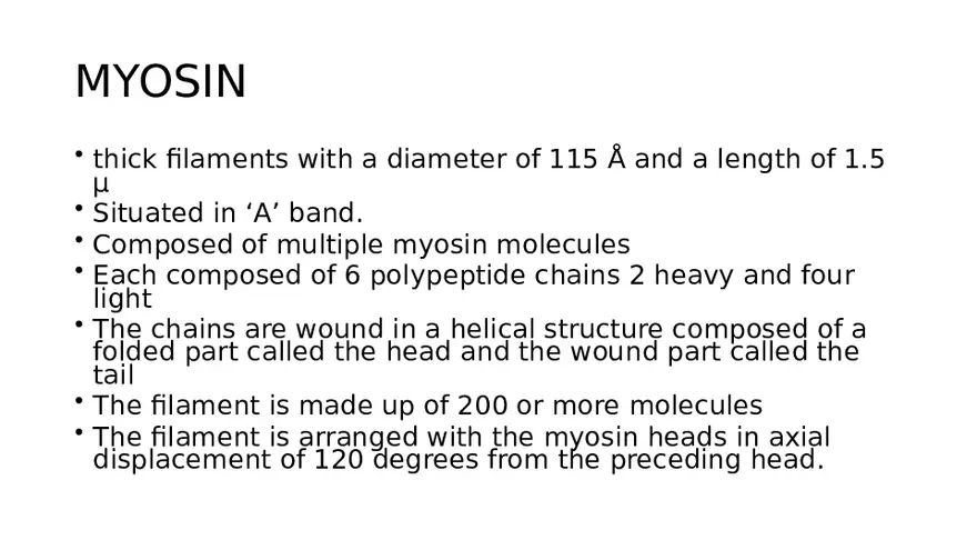 Muscle Structure - Page 5