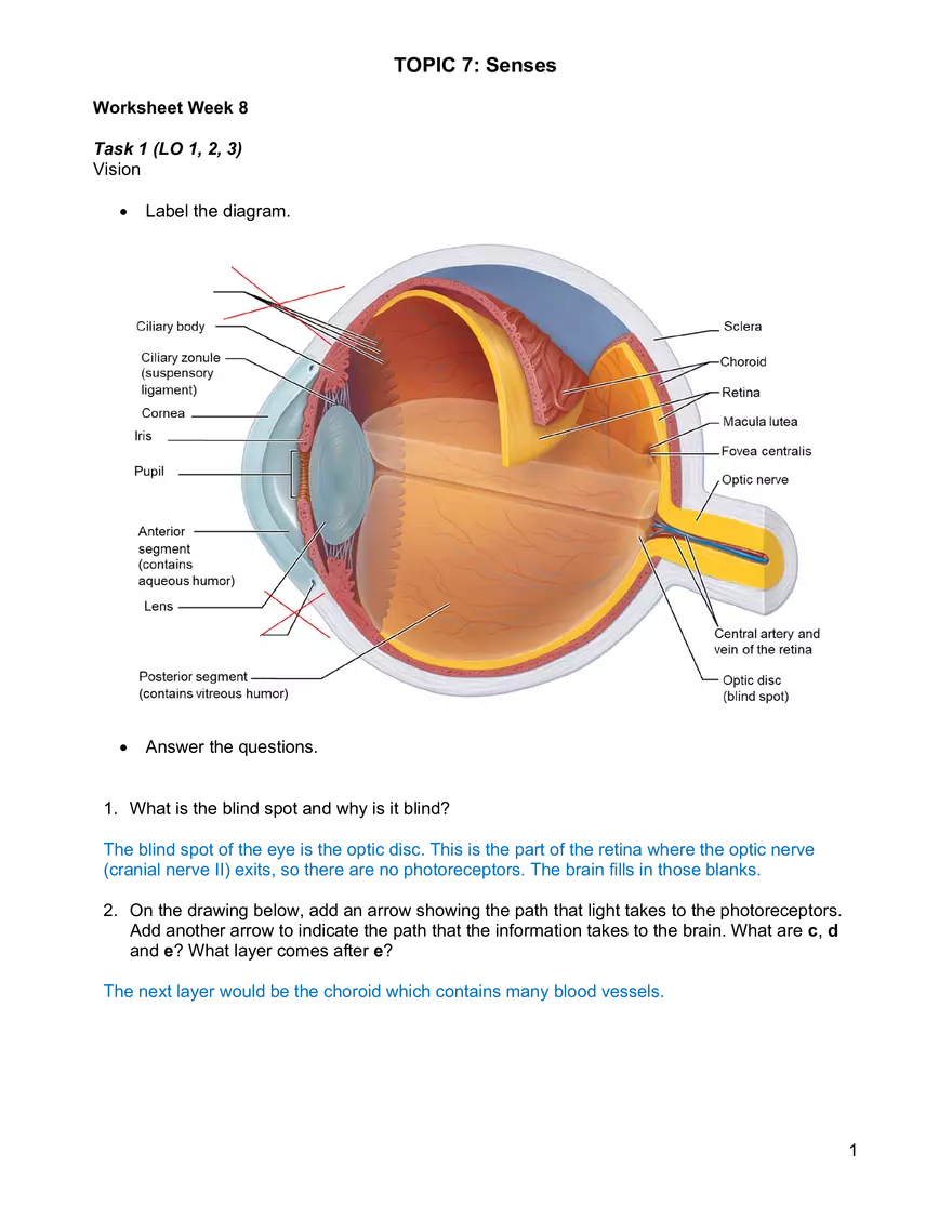 Senses Worksheet Week 8 - Page 1
