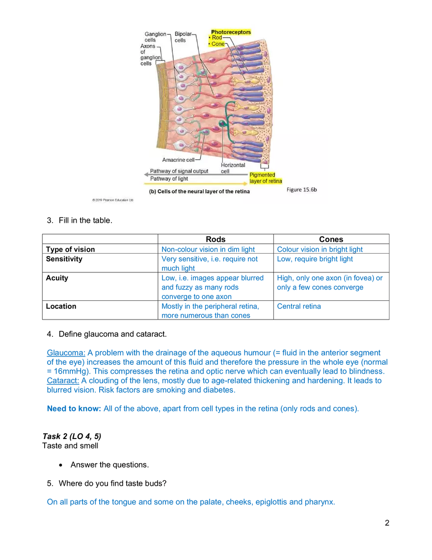 Senses Worksheet Week 8 - Page 2