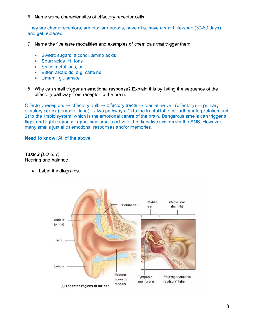 Senses Worksheet Week 8 - Page 3