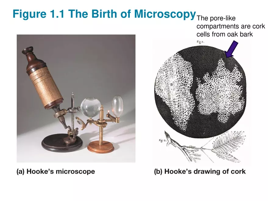 Chapter 1 A Preview of Cell Biology - Page 3