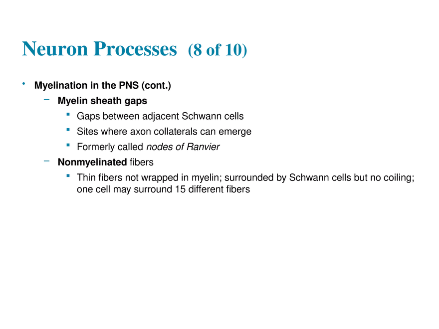 11.3  Neurons - Page 9