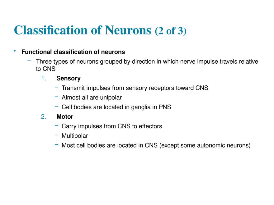 11.3  Neurons - Page 18