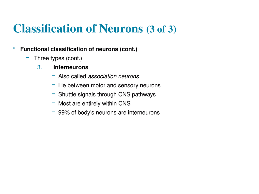 11.3  Neurons - Page 19
