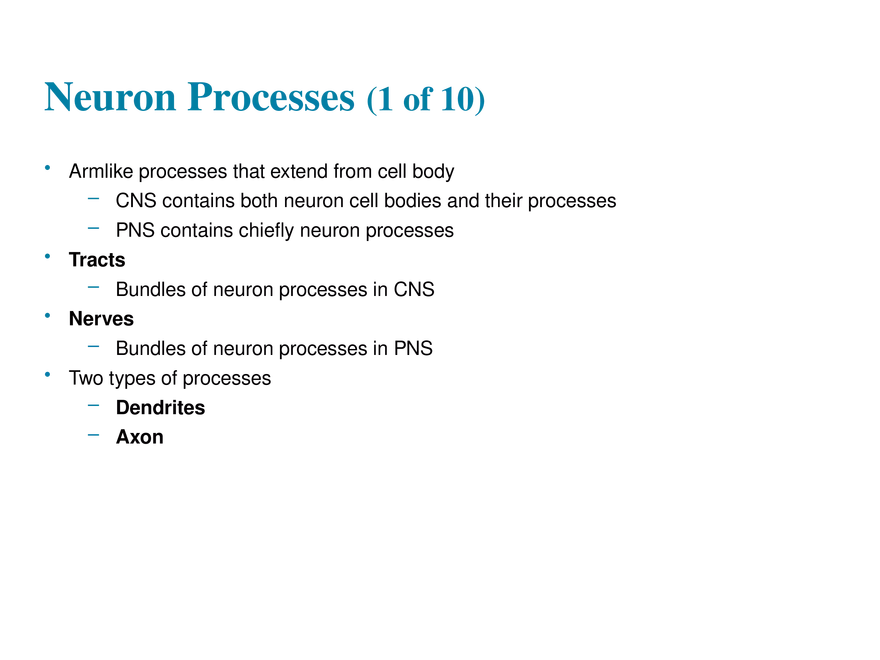 11.3  Neurons - Page 21