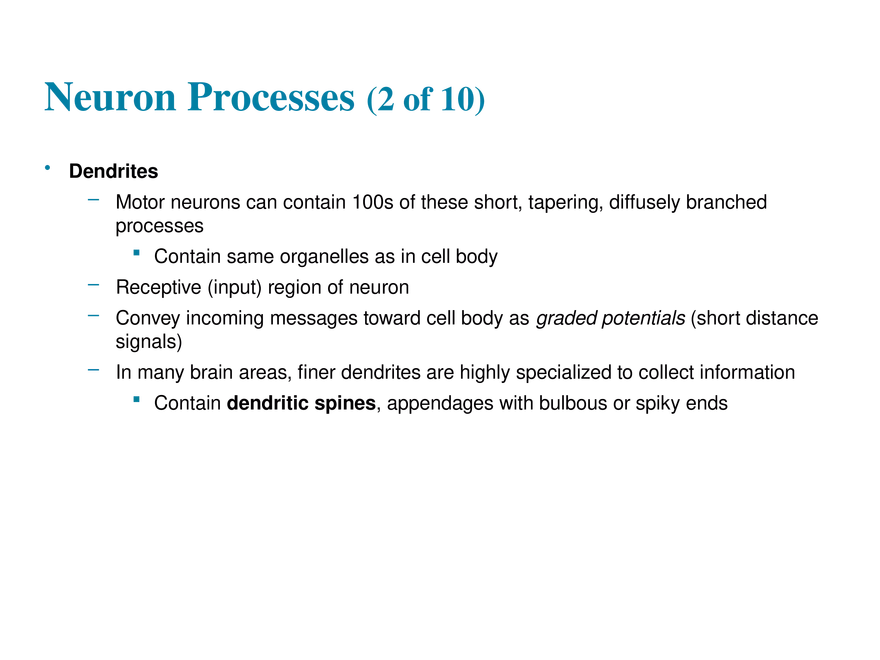 11.3  Neurons - Page 24