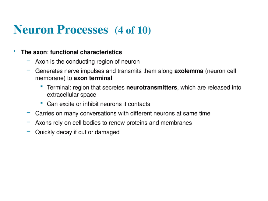 11.3  Neurons - Page 27