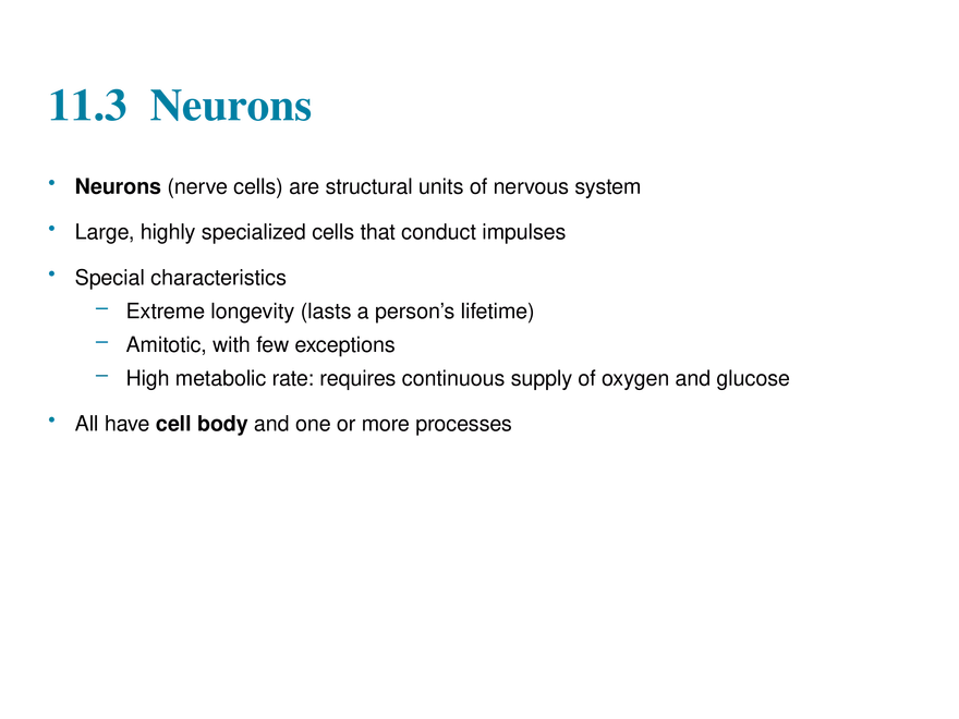 11.3  Neurons - Page 1