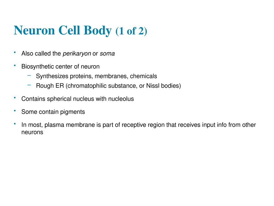 11.3  Neurons - Page 2