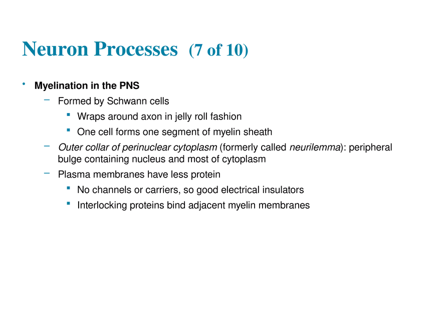 11.3  Neurons - Page 6