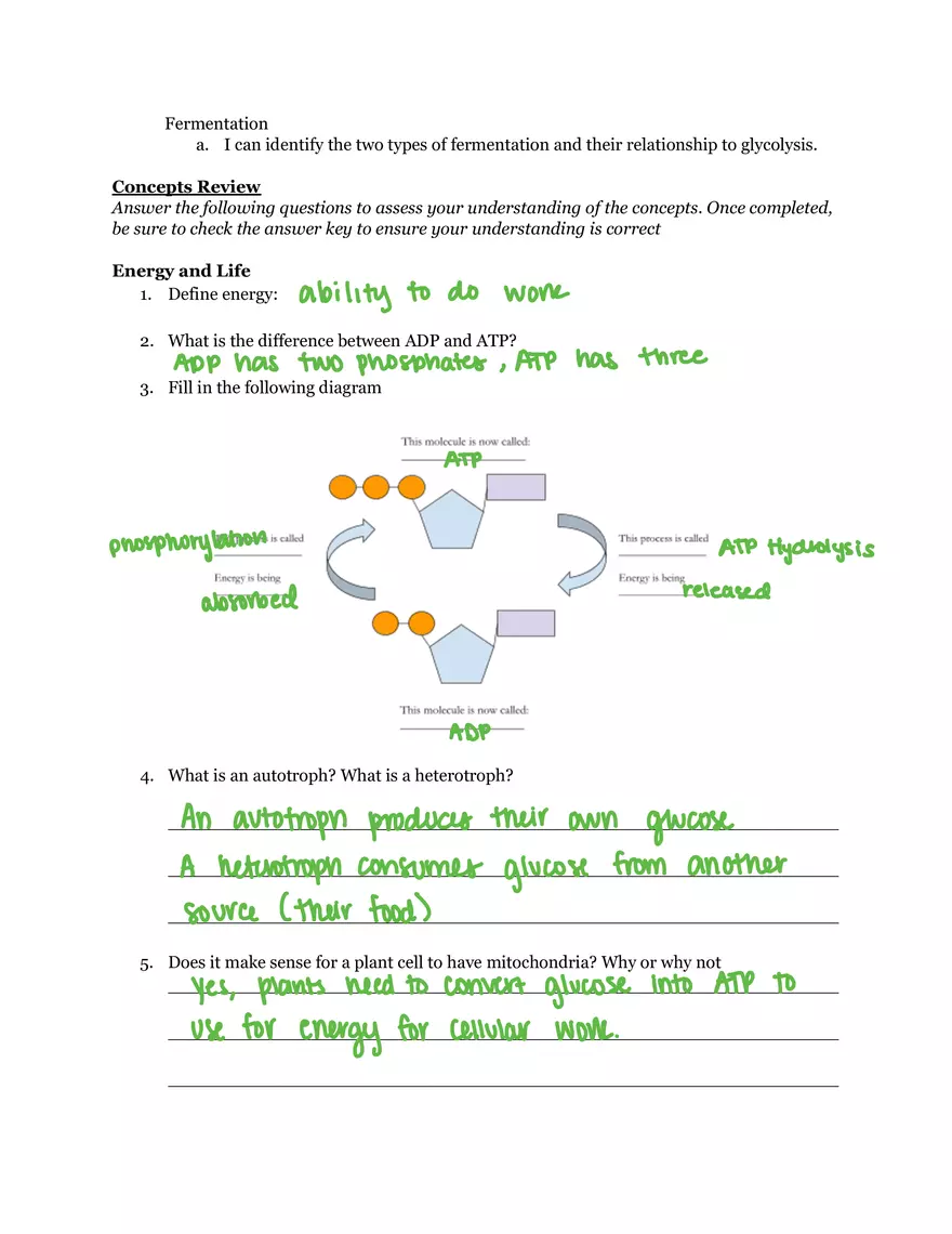 Unit 3 Energy Processes Study Guide - Page 2
