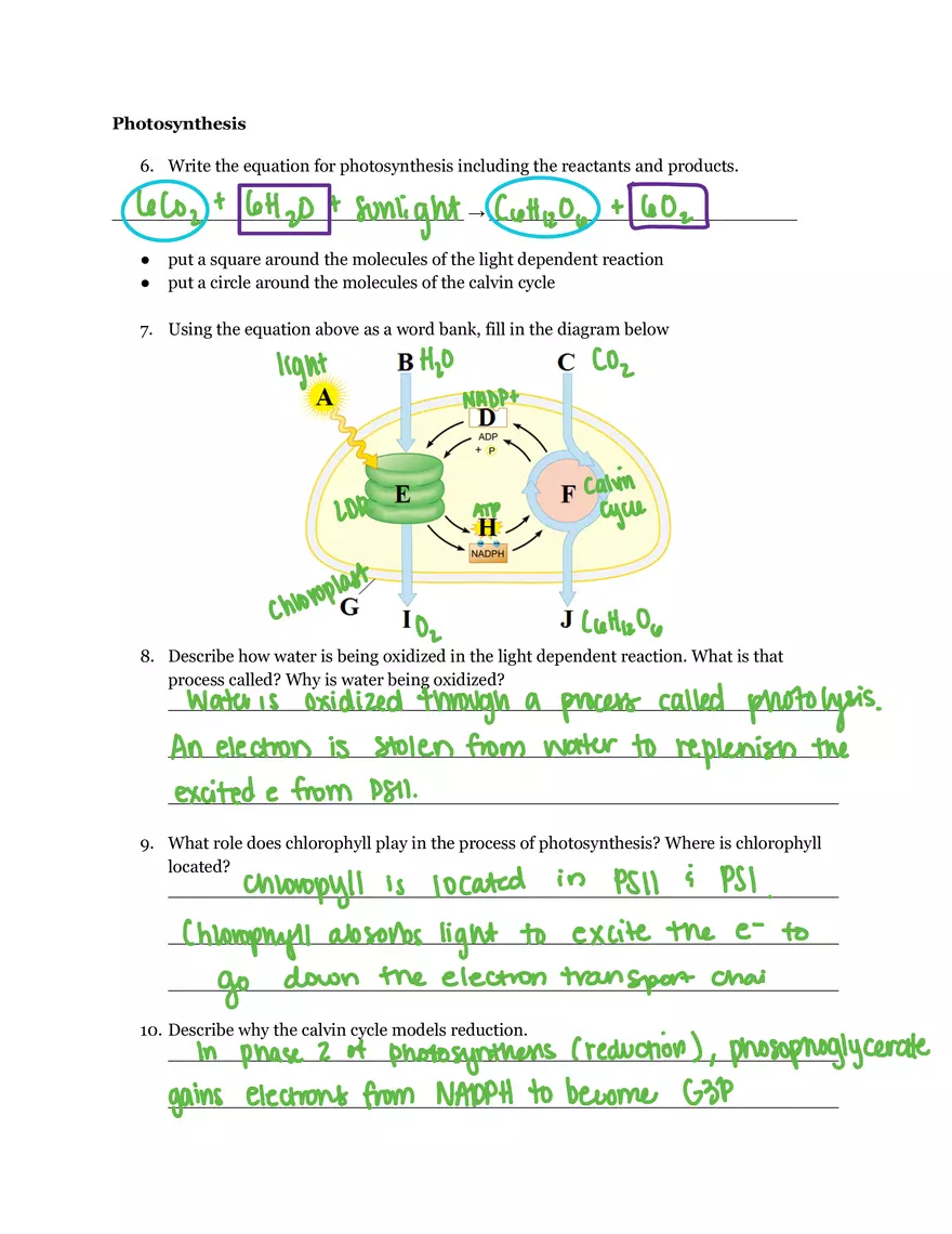 Unit 3 Energy Processes Study Guide - Page 3