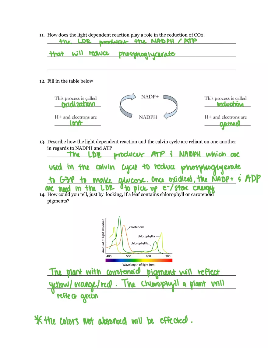 Unit 3 Energy Processes Study Guide - Page 4