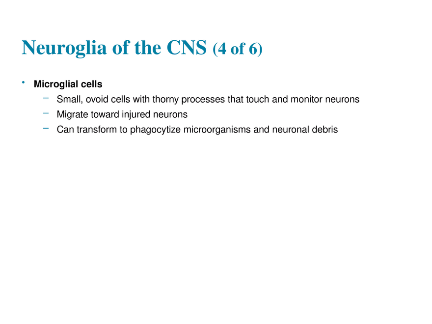 11.2  Neuroglia - Page 9