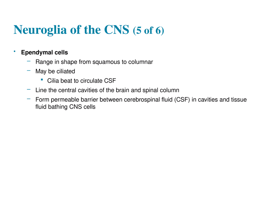 11.2  Neuroglia - Page 11