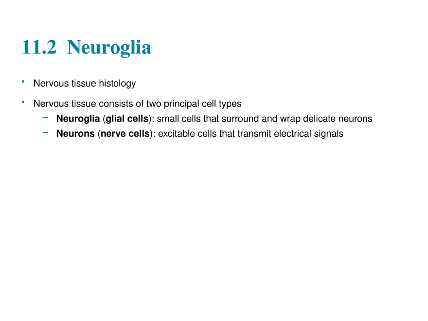 11.2  Neuroglia - Page 1