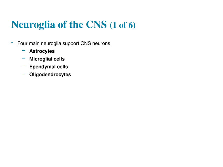 11.2  Neuroglia - Page 2