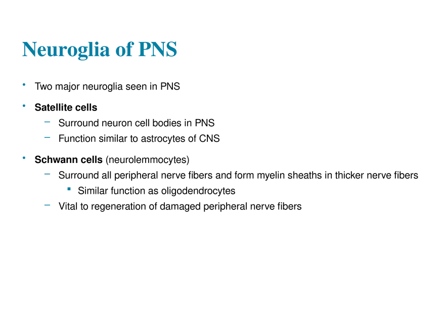 11.2  Neuroglia - Page 4