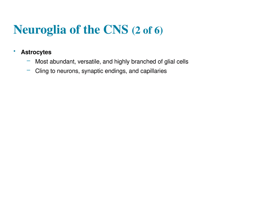 11.2  Neuroglia - Page 6