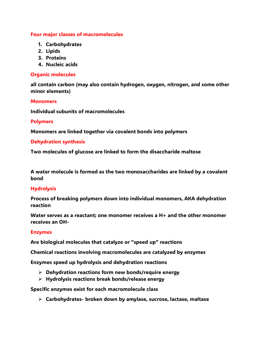 Four Major Classes of Macromolecules - Page 1