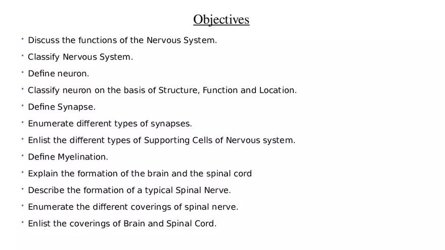 Nervous System Lecture - Page 2