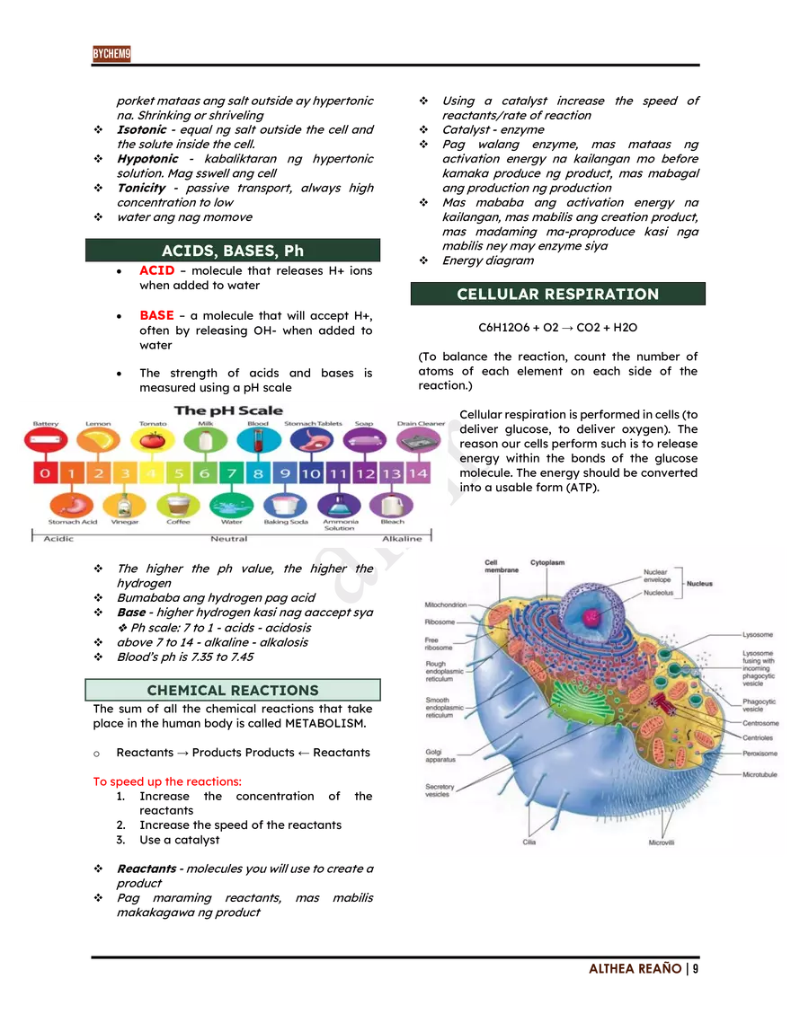 Introduction To Biochemistry: Lesson 1 - Page 17