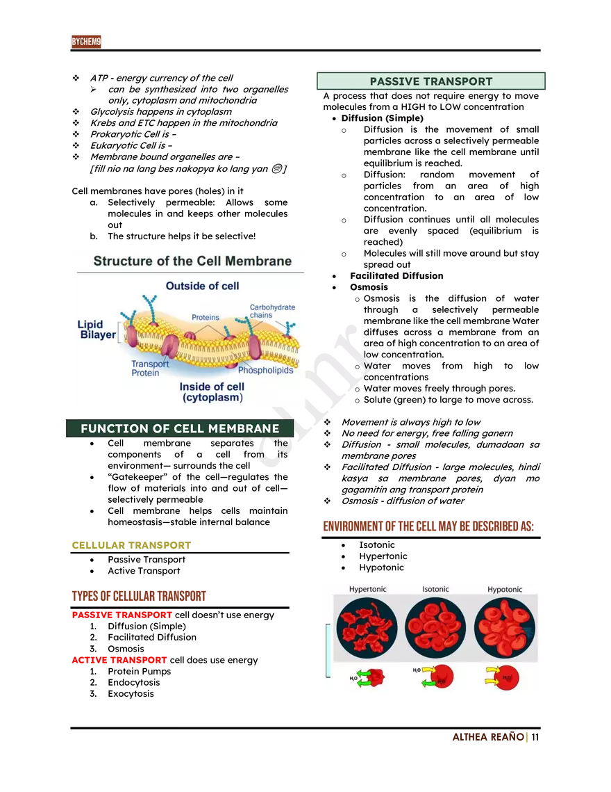 Introduction To Biochemistry: Lesson 1 - Page 3