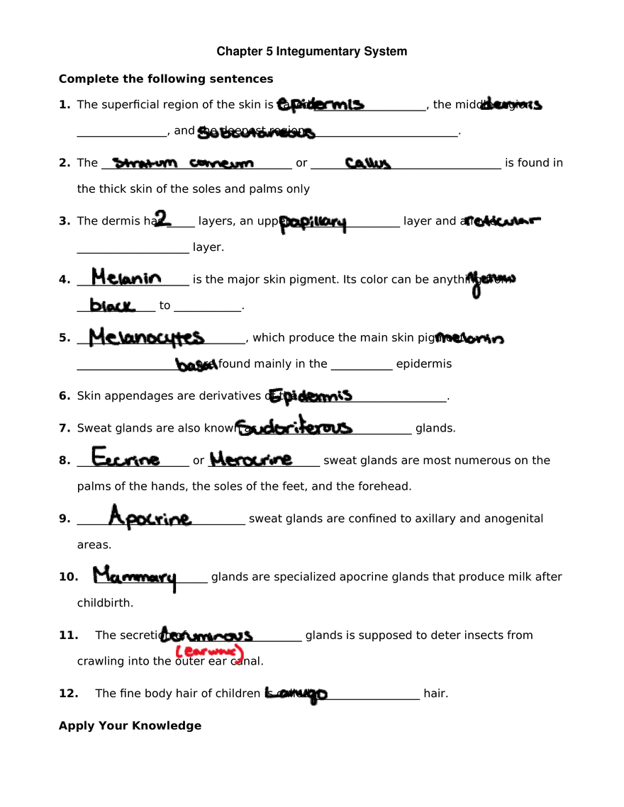 Chapter 5 Integumentary System - Page 1