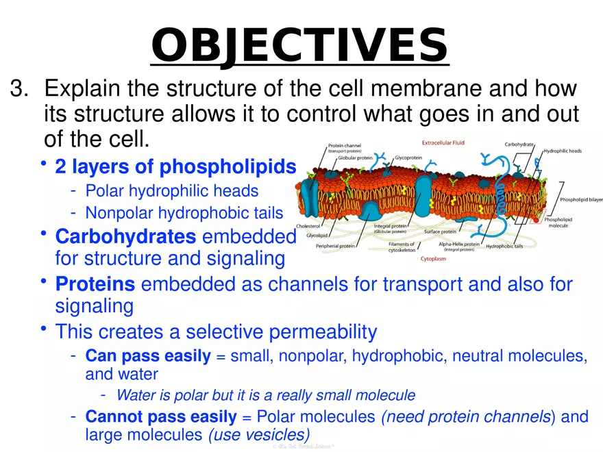 Anatomy Concept 1 Biology Review - Page 9