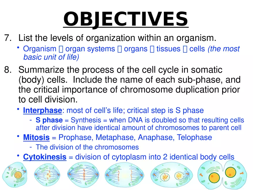 Anatomy Concept 1 Biology Review - Page 12
