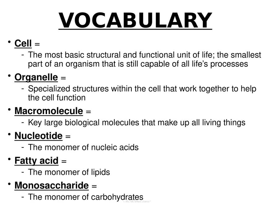Anatomy Concept 1 Biology Review - Page 5