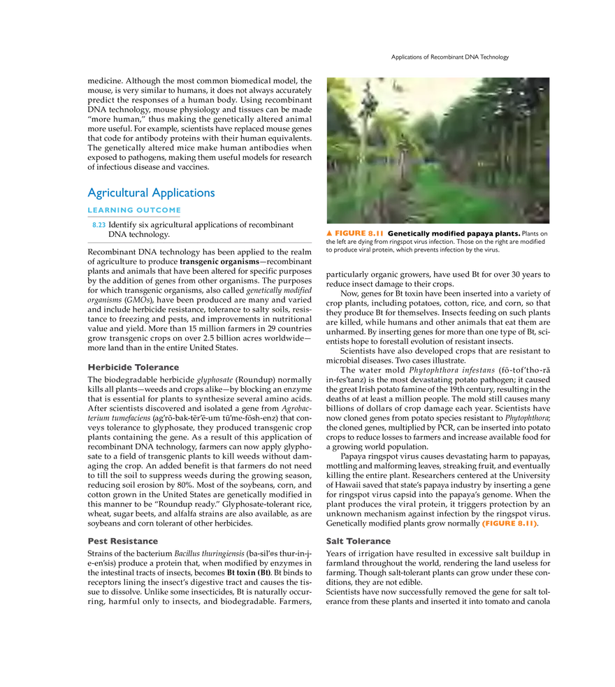 Recombinant DNA Technology - Page 8