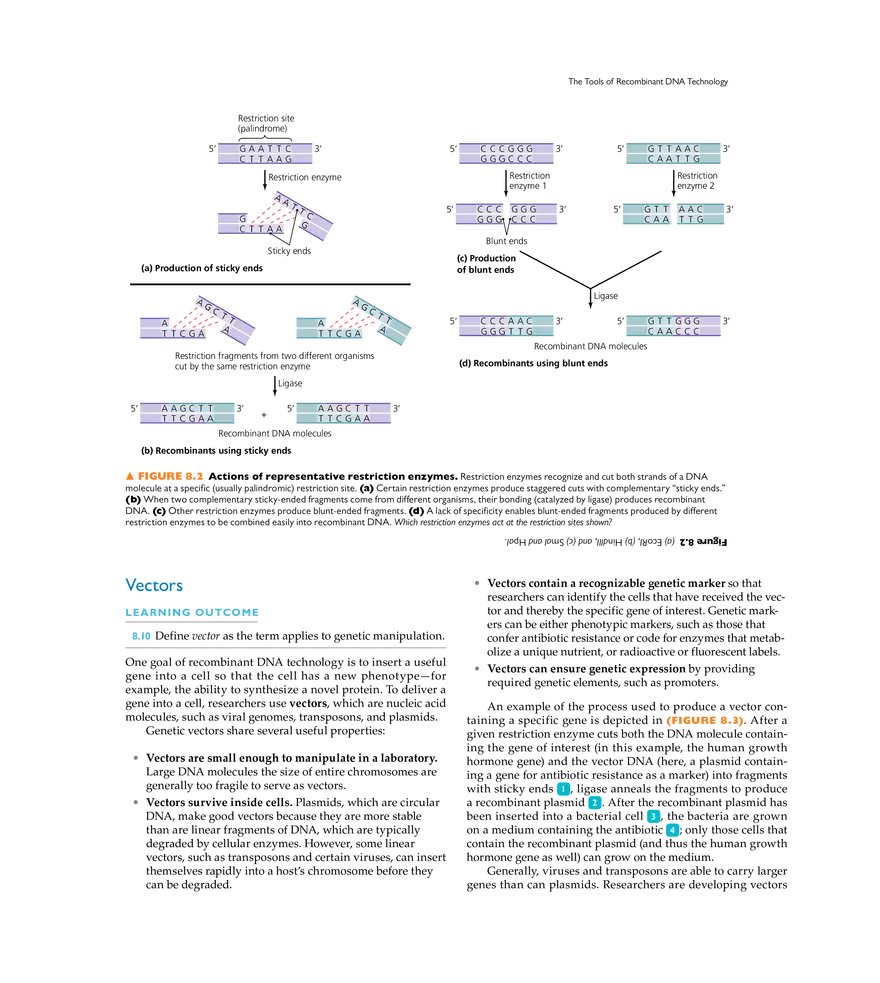 Recombinant DNA Technology - Page 16