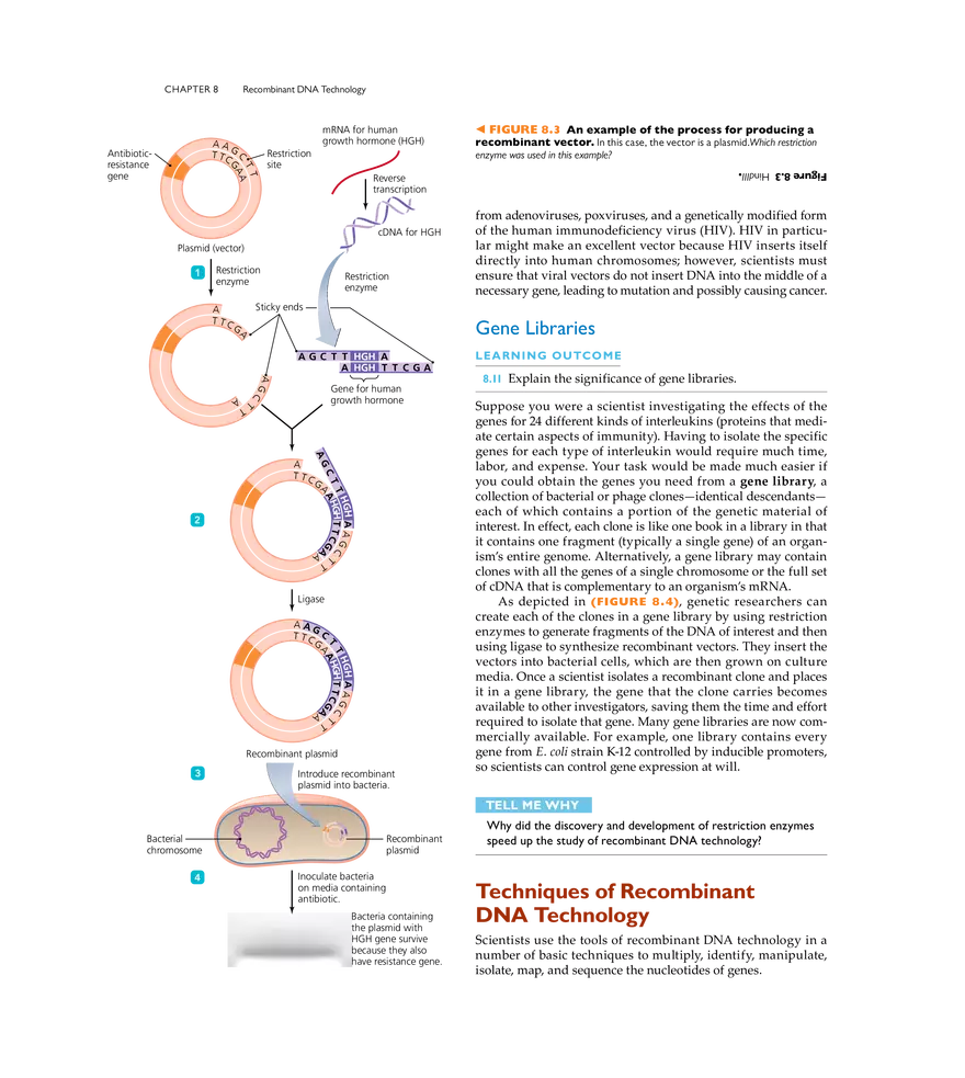 Recombinant DNA Technology - Page 17