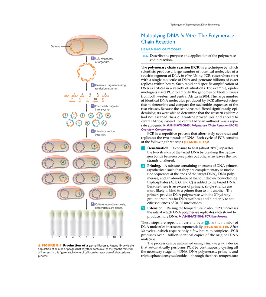 Recombinant DNA Technology - Page 18
