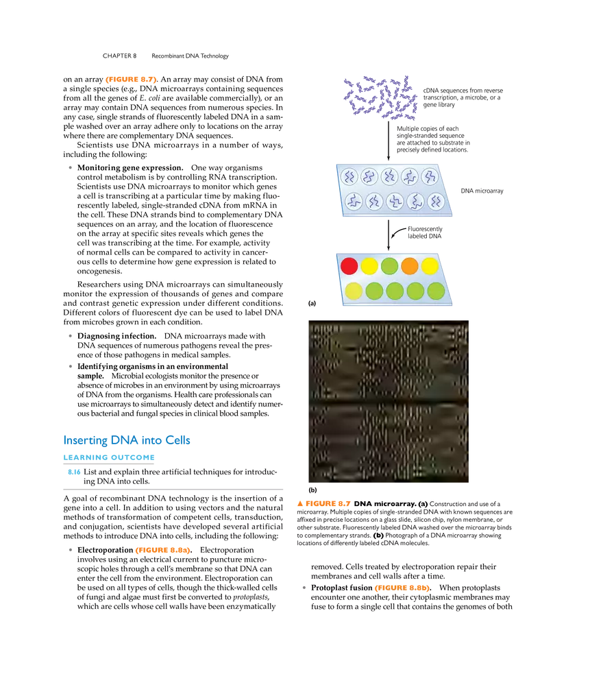 Recombinant DNA Technology - Page 21