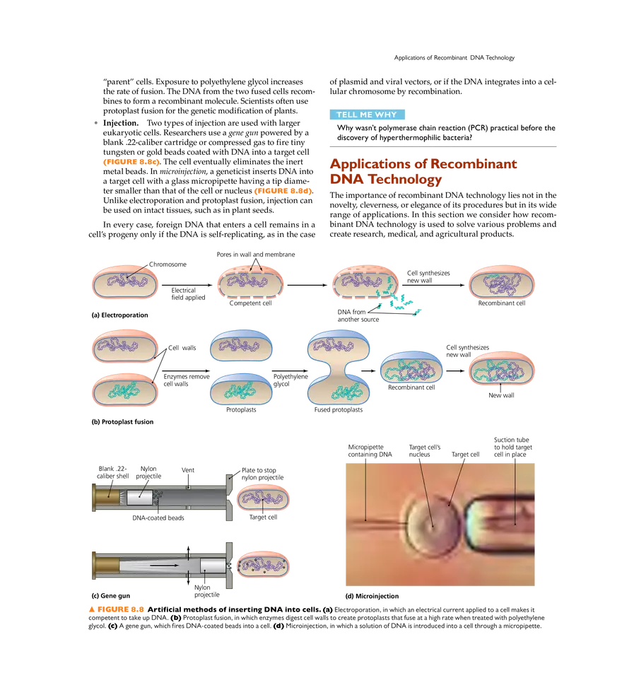 Recombinant DNA Technology - Page 22