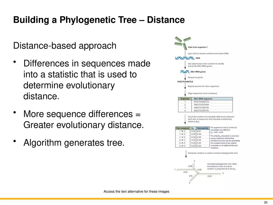 The Evolution of Microorganisms and Microbiology - Page 12