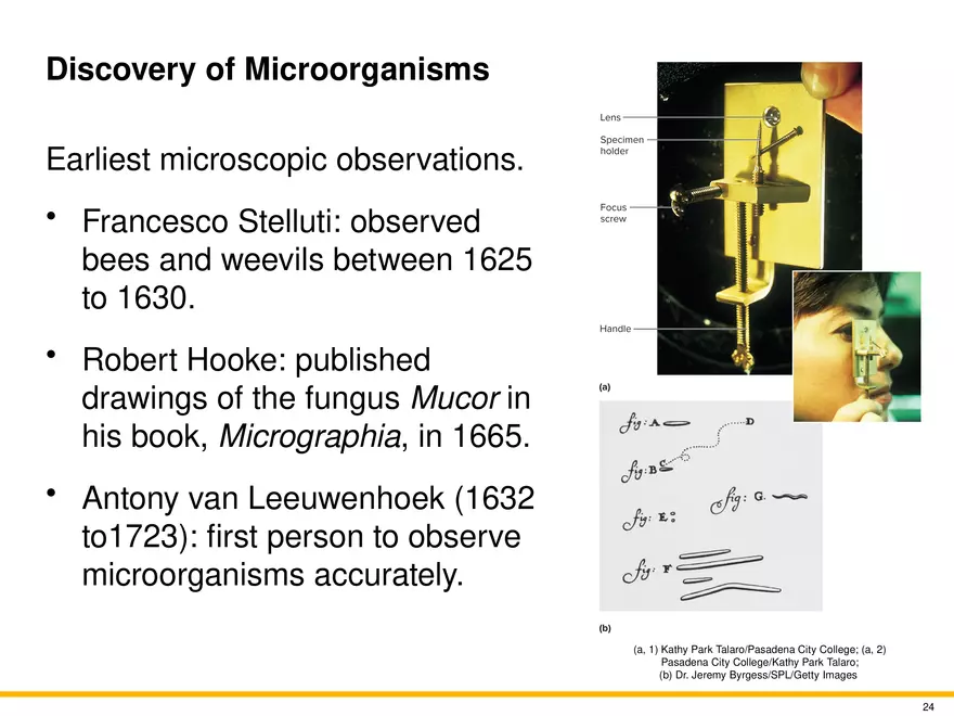 The Evolution of Microorganisms and Microbiology - Page 17