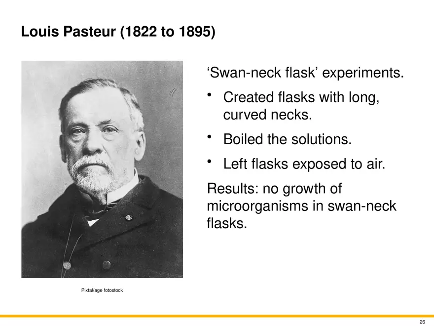 The Evolution of Microorganisms and Microbiology - Page 19