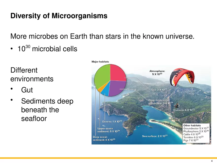 The Evolution of Microorganisms and Microbiology - Page 24