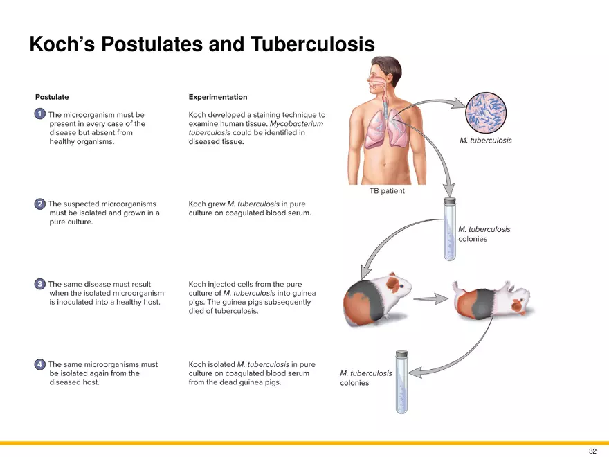 The Evolution of Microorganisms and Microbiology - Page 26