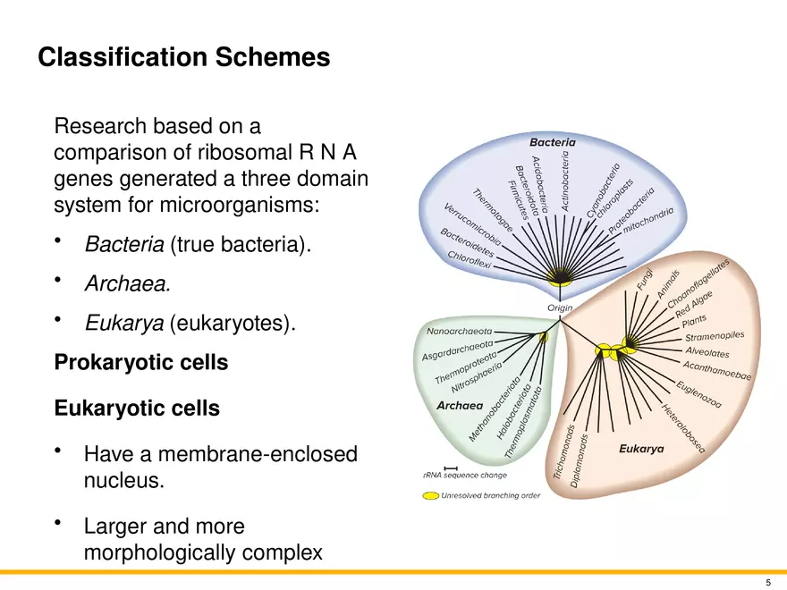 The Evolution of Microorganisms and Microbiology - Page 35