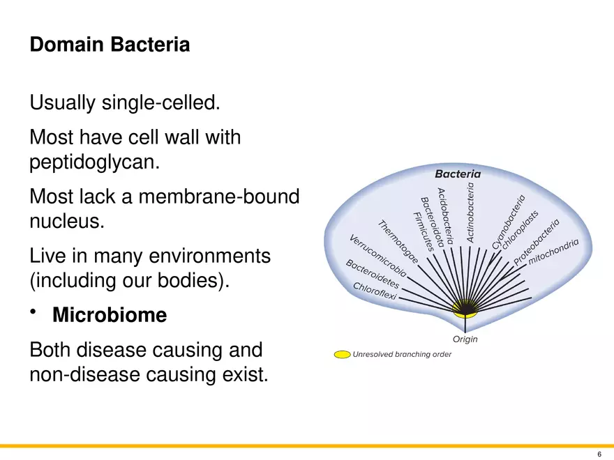The Evolution of Microorganisms and Microbiology - Page 36