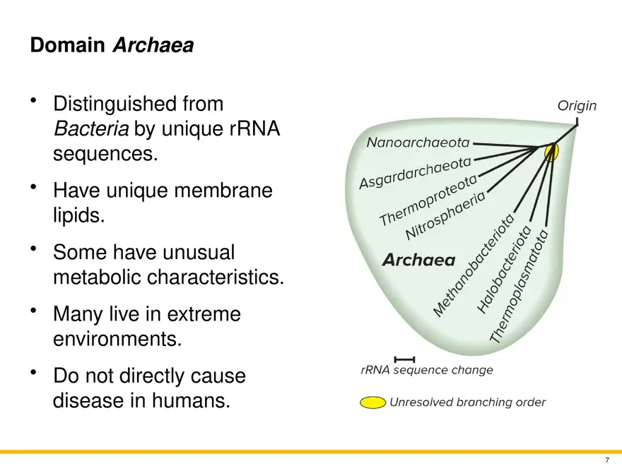 The Evolution of Microorganisms and Microbiology - Page 37